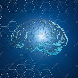 生物基因科技未來技術抽象幾何空間線條腦科素材圖片免費下載 千庫網