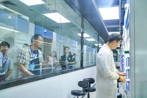 四川 稅引擎 驅動新質生產力加速形成