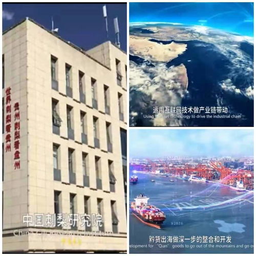 加大貴州特色產品出口,貴州迎貴客 貴州刺力云生物科技