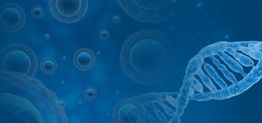 上海貝德爾生物科技