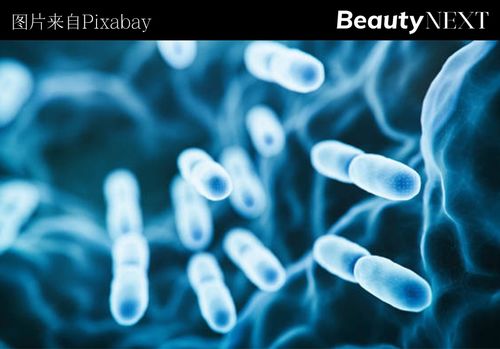 首次收購(gòu)生物科技公司,歐萊雅瞄準(zhǔn) 后生元