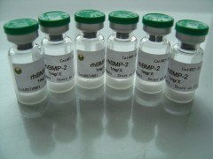 上海博華生物科技 創(chuàng)新驅(qū)動，引領(lǐng)生物科技未來