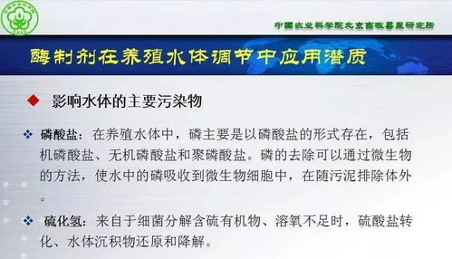 酶制劑在水產(chǎn)動(dòng)物營養(yǎng)與保健方面的潛質(zhì)——項(xiàng)目策劃與公關(guān)服務(wù)