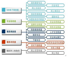 中國農業信息網商務版運營模式探索 構建數字化農業服務新生態